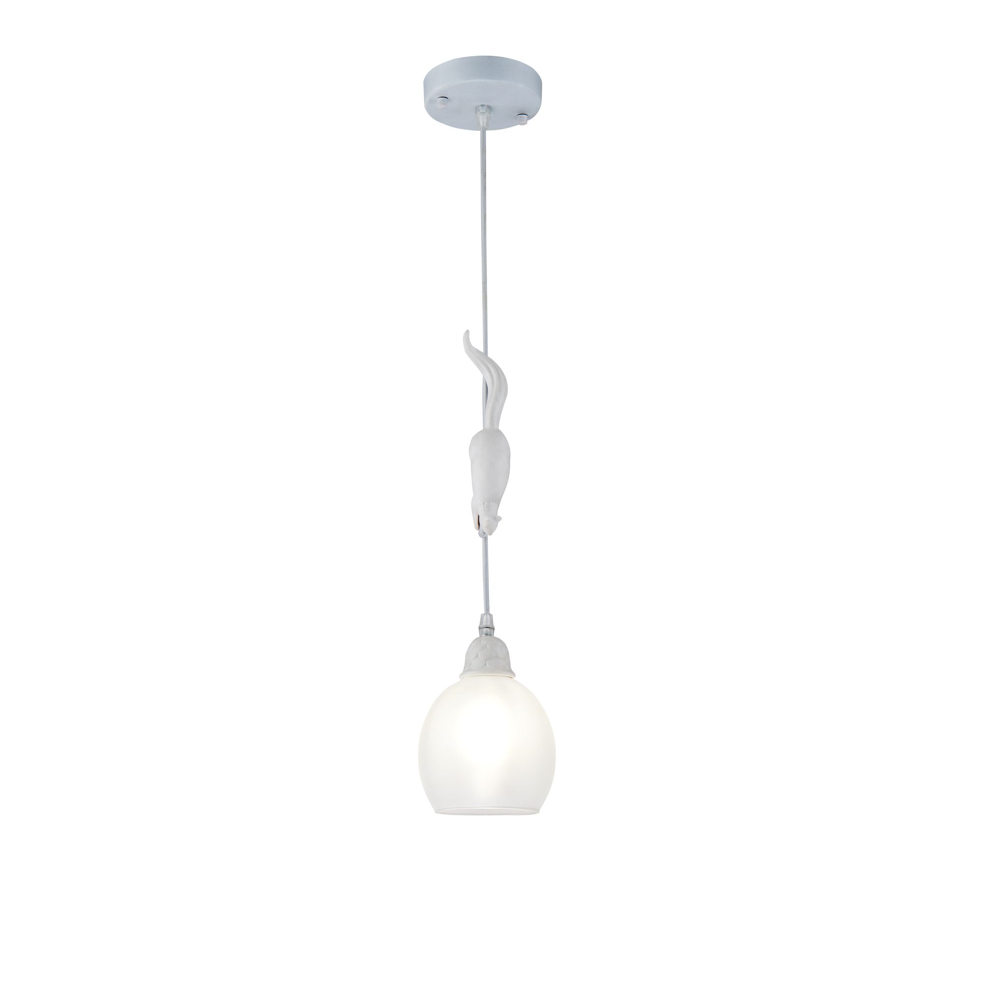 FR5010PL-01W